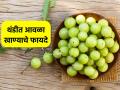 थंडीत खायलाच हवा आवळा, 'सुपर फ्रूट' खाण्याचे ६ जबरदस्त फायदे, वर्षभर तब्येत राहील ठणठणीत... - Marathi News | 6 Amazing Health Benefits Of having Amla gooseberry in winter season : Must eat amla in winter, 6 amazing benefits of eating 'super fruit', will stay healthy throughout the year... | Latest sakhi News at Lokmat.com