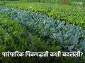 मागच्या साडेसहा दशकात कशी बदलली राज्यातील पीक पद्धती? काय झाले बदल? | Maharashtra Crop Pattern - Marathi News | | Latest agriculture News at Lokmat.com