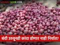 निर्यातबंदी उठवली तरी शेतकऱ्यांचा कांदा होणार नाही निर्यात? - Marathi News | Even if the export ban is lifted, the onion of the farmers will not be exported? | Latest agriculture News at Lokmat.com