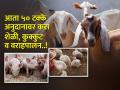 शेतीला जाेडधंदा म्हणून पशुपालन करताय? अनुदानावर या योजना देतात लाभ - Marathi News | Animal husbandry as a supplement to agriculture, these schemes provide benefits on subsidy | Latest agriculture News at Lokmat.com