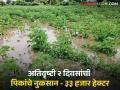 Crop Damage : २ दिवसांत ३३ हजार हेक्टरवरील पिके पाण्याखाली; कुठे किती झाले नुकसान? - Marathi News | Crop Damage Crops on 33 thousand hectares under water in 2 days; How much damage was done where? | Latest agriculture News at Lokmat.com