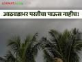 Monsoon Rain : राजस्थानात परतीच्या पावसाला सुरूवात! महाराष्ट्रात अजून आठवडाभर परतीच्या पावसाची शक्यता कमी - Marathi News | Monsoon Rain return of rain in Rajasthan There is less chance of rain in Maharashtra for another week | Latest agriculture News at Lokmat.com