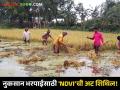 Crop Damage : नैसर्गिक आपत्तीमुळे झालेल्या नुकसान भरपाईसाठी “सामान्यकृत फरक वनस्पती निर्देशांक”ची अट काढली - Marathi News | Requirement of “Normalized Difference Vegetation Index” for compensation due to natural calamities | Latest agriculture News at Lokmat.com