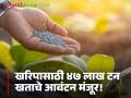 Fertilizers : खरिपाची तयारी सुरू! राज्यासाठी ४७ लाख टन खताचे आवंटन केंद्राकडून मंजूर - Marathi News | Fertilizers:Kharif preparations begin! Center approves allocation of 47 lakh tonnes of fertilizer for the state | Latest agriculture News at Lokmat.com