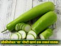 'या' पदार्थांसोबत लौकी खाणं पडू शकतं महागात, कसं ते वाचा! - Marathi News | Avoid these foods eating with bottle gourd know the reason | Latest health News at Lokmat.com