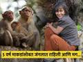माकडांनी सांभाळ केला, जंगलातून वेश्यालयात पोहोचली आणि मग; महिलेची हैराण करणारी कहाणी - Marathi News | Female Tarzan real story woman raised by monkey in jungle brothel now housewife in UK Marina Chapman | Latest jarahatke News at Lokmat.com
