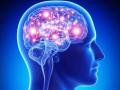 मेंदुला अॅक्टिव्ह ठेवण्यात फायदेशीर असतात तुमच्या या सवयी! - Marathi News | These good habits keep your brain active and healthy | Latest health News at Lokmat.com
