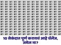 जीनिअस असाल तर 31 नंबरमध्ये शोधून दाखवा 81 नंबर, बरेच लोक झाले फेल! - Marathi News | Optical Illusion : Spot The Hidden Number 81 along with 31 Number in This Picture | Latest social-viral News at Lokmat.com