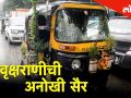 चला करुया वृक्षराणीची ही अनोखी सफर - Marathi News | Hello Mumbai series the unique trip of auto riksha | Latest mumbai Videos at Lokmat.com