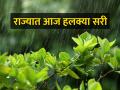 हवामान विभागाने दिला पावसाचा अंदाज, आज 'या' जिल्ह्यांना यलो अलर्ट - Marathi News | Light to moderate showers across the state today | Latest agriculture News at Lokmat.com