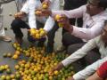 उपराजधानीत शेतकऱ्यांनी रस्त्यावर वाटली सडकी संत्री - Marathi News | Farmers in the suburbs felt orange in the streets | Latest nagpur News at Lokmat.com