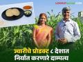 Sorghum : ज्वारीचे प्रोडक्ट ८ देशात निर्यात करणारे दाम्पत्य! लोकल ज्वारीला दिली ग्लोबल ओळख - Marathi News | | Latest agriculture News at Lokmat.com