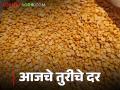 Tur Bajarbhav : आज दिवसभरात तुरीला किती मिळाला दर? कुठे झाली सर्वांत जास्त आवक? - Marathi News | maharashtra market yard Tur Bajarbhav today 11 thousand kharip monsoon season sowing cultivation | Latest agriculture News at Lokmat.com