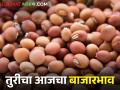 राज्यात आज तुरीला क्विंटलमागे मिळाला एवढा भाव, शेतकऱ्यांचा तुर विक्रीकडे वाढला कल - Marathi News | | Latest agriculture News at Lokmat.com