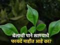 उन्हाळ्यात रिकाम्या पोटी बेलाची पाने खाण्याचे फायदे वाचून अवाक् - Marathi News | Benefits to eating bael patra empty stomach | Latest health News at Lokmat.com