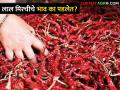 यंदा मिरचीचे भाव पडण्यामागे कारण काय‌? - Marathi News | What is the reason behind the fall in the price of chilli this year? | Latest agriculture News at Lokmat.com