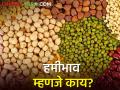 हमीभाव म्हणजे काय? कसा ठरवला जातो? - Marathi News | | Latest agriculture News at Lokmat.com