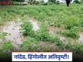 Heavy Rain : नांदेड, हिंगोलीत ४९ मंडळांत अतिवृष्टी - Marathi News | Heavy Rain: Heavy rain in 49 mandals in Nanded, Hingoli | Latest agriculture News at Lokmat.com