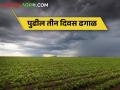 मराठवाड्यात पुढील तीन दिवस ढगाळ वातावरणाची शक्यता, शेतकऱ्यांनी काय करावे? - Marathi News | | Latest agriculture News at Lokmat.com