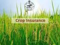 वाशिम जिल्ह्यातील ७५,४२६ शेतकऱ्यांनी उतरविला पीक विमा - Marathi News | 75,426 farmers take out crop insurance in Washim district | Latest vashim News at Lokmat.com