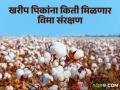 Crop Insurance : खरिपातील कोणत्या पिकाला किती विम्याचे संरक्षण? जाणून घ्या सविस्तर - Marathi News | Crop Insurance How much insurance cover for which crop in Kharip? Know in detail | Latest agriculture News at Lokmat.com