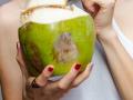 Benefits Of Coconut Water : उन्हाळ्यात नारळपाणी पिण्याचे ५ फायदे, उन्हाचा त्रास टाळा- स्वीकारा नॅचरल पर्याय - Marathi News | | Latest sakhi News at Lokmat.com