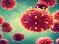 CoronaVirus : कोरोनाच्या महामारीमुळे लोकांमध्ये झाले आहेत 'हे' बदल - Marathi News | CoronaVirus : lessons life after coronavirus changes in people after coronavirus myb | Latest health Photos at Lokmat.com