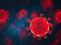 Coronavirus: एक विषाणू सर्व मानवजातीला भारी पडला; कोरोनामुळे जीवनाकडे बघण्याची नवीन दृष्टी - Marathi News | Coronavirus: A virus that plagued all mankind; Corona has a new way of looking at life | Latest navi-mumbai News at Lokmat.com
