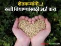Rabi Season : रब्बी हंगामात बियाण्यांसाठी करता येणार अर्ज; 'ही' आहे शेवटची तारीख - Marathi News | Rabi Season Application for seeds subsidy and distribution can be made during Rabi season | Latest agriculture News at Lokmat.com
