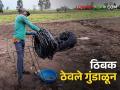 यंदा शेतकऱ्यांनी ठिंबक सिंचनही ठेवले गुंडाळून? - Marathi News | This year, the farmers also kept drip irrigation wrapped? | Latest agriculture News at Lokmat.com