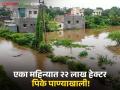 Flood : पावसामुळे राज्यातील २२ लाख हेक्टरहून अधिक पीके पाण्याखाली; शेतकरी हवालदिल - Marathi News | Flood: More than 22 lakh hectares of crops in the state are under water due to rain; Farmers are worried | Latest agriculture News at Lokmat.com