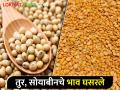 नवी तूर बाजारात येण्याअगोदरच भावात घसरण; सोयाबीनही पडले - Marathi News | A drop in prices even before the new tur hits the market; Soybeans also fell | Latest agriculture News at Lokmat.com
