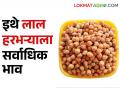 Chick Pea: आज राज्यात ७१५८ क्विंटल हरभऱ्याची आवक, मिळतोय असा बाजारभाव - Marathi News | Chick Pea: Today, 7158 quintals of chick pea have been received in the state and the market price is getting | Latest agriculture News at Lokmat.com