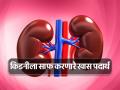 किडनीचे फिल्टर पूर्णपणे स्वच्छ करतात हे 8 पदार्थ, कितीही मोठा किडनी स्टोनचं होईल पाणी... - Marathi News | Know 8 best ways and foods to clean your kidney and remove stones naturally | Latest health Photos at Lokmat.com