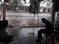 गडचिरोलीत मुसळधार पाऊस; धानाला फटका - Marathi News | rains in Gadchiroli; Hit the paddy | Latest gadchiroli News at Lokmat.com