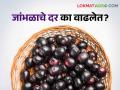 जांभळाला आला हापूसचा भाव!, का वाढलेत दर? - Marathi News | The Jamun price higher like Hapus! Why the Jamun increased price? | Latest agriculture News at Lokmat.com