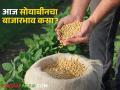 Soybean Market: राज्यात ११ हजार ७४३ क्विंटल सोयाबीनची आवक, मिळतोय असा भाव - Marathi News | | Latest agriculture News at Lokmat.com