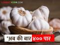 कोरडा लसूण ४५० ते ५०० रु. किलो! लसणाच्या किमती वाढण्याची कारणं काय? - Marathi News | Dry garlic 450 to 500 Rs. Kilo! What are the reasons for the increase in garlic prices? | Latest agriculture News at Lokmat.com
