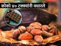 कोको ४० टक्के महाग, प्रतिकूल हवामानामुळे उत्पादनात घट - Marathi News | Cocoa 40 percent more expensive, production reduced due to adverse weather conditions | Latest agriculture News at Lokmat.com