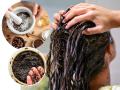 Hair Care Tips : कॉफीचे महागडे हेअरपॅक परवडत नाहीत? घरीही करता येतील कॉफीचा खास हेअरपॅक, केस चमकदार - Marathi News | Hair Care Tips: Can't Afford Expensive Coffee Hairpacks? Special hairpack of coffee, shiny hair can also be done at home | Latest sakhi News at Lokmat.com