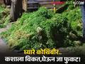 आवक वाढल्याने उठाव नाही, कोथिंबीर रस्त्यावर फेकण्याची शेतकऱ्यांवर वेळ - Marathi News | No uprising due to increase in income, time for farmers to throw coriander on the streets | Latest agriculture News at Lokmat.com