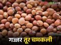 Tur market: गज्जर तूर चमकली, या बाजारसमितीत क्विंटलमागे सर्वाधिक भाव.. - Marathi News | Tur market: Gajjar tur shined, the highest price per quintal in this market committee.. | Latest agriculture News at Lokmat.com