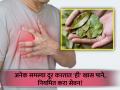 मसाल्यातील ही खास पाने आरोग्यासाठी ठरतात फायदेशीर, जाणून घ्या फायदे... - Marathi News | Amazing health benefits of bay leaf you should know | Latest health News at Lokmat.com
