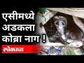 'एसीमध्ये अडकला कोब्रा नाग !' Cobra snake stuck in AC at Kalyan | Viral News Kalyan - Marathi News | 'Cobra snake stuck in AC!' Cobra snake stuck in AC at Kalyan | Viral News Kalyan | Latest maharashtra Videos at Lokmat.com