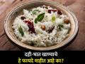 दही-भात खाण्याचे हे जबरदस्त फायदे वाचून व्हाल अवाक्, अनेक समस्यावर ठरतो रामबाण उपाय - Marathi News | You will be speechless after reading these amazing benefits of eating curd and rice you should know | Latest health News at Lokmat.com