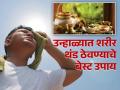 उन्हाळ्यात शरीराला ठंडा-ठंडा कूल कूल ठेवणाऱ्या जडीबुटी, दिवसभर तुम्हाला वाटेल फ्रेश! - Marathi News | These Ayurvedic herbs will keep your body cool in summer | Latest health News at Lokmat.com