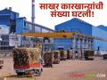Sugar Production : यंदा कारखान्यांची संख्या झाली कमी; आत्तापर्यंत किती झाली साखर निर्मिती? - Marathi News | Sugar Production number of factories has decreased this year; How much sugar has been produced so far? | Latest agriculture News at Lokmat.com