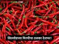 सिल्लोडच्या मिरचीचा ठसका देशभर! जीआय मानांकनासाठी होणार परीक्षण - Marathi News | Sillod's pepper stamp all over the country! Examination for GI rating | Latest agriculture News at Lokmat.com
