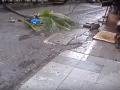 "ते" नारळाच झाडं कापण्यासाठी सात महिने करत होते पाठपुरावा - Marathi News | "They were doing" for seven months cutting coconut trees | Latest maharashtra News at Lokmat.com