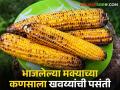 चौकाचौकात दिसतेय नागरिकांची गर्दी; भाजलेल्या मक्याच्या कणसाला खवय्यांची पसंती - Marathi News | A crowd of citizens is seen at the crossroads; A gourmand favorite with roasted corn kernels | Latest agriculture News at Lokmat.com